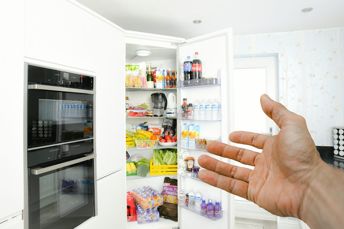 Moderni frižider
